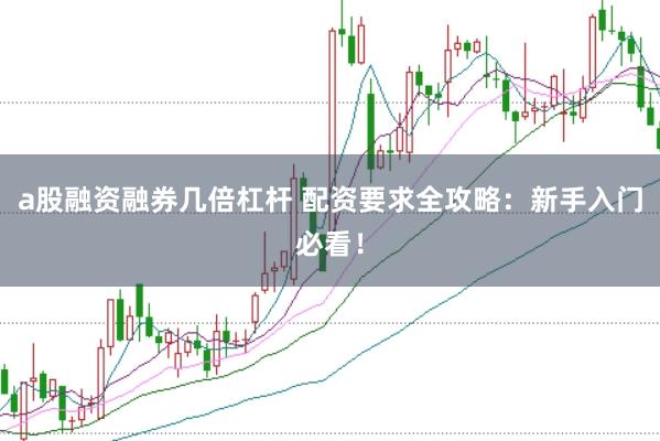 a股融资融券几倍杠杆 配资要求全攻略：新手入门必看！