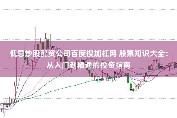 低息炒股配资公司百度搜加杠网 股票知识大全：从入门到精通的投资指南