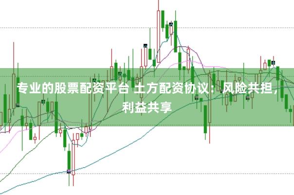 专业的股票配资平台 土方配资协议：风险共担，利益共享