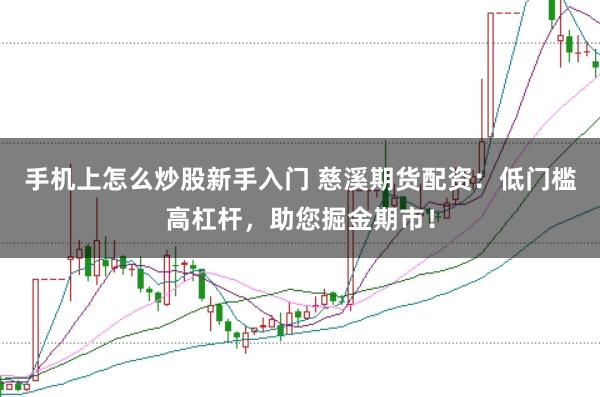 手机上怎么炒股新手入门 慈溪期货配资：低门槛高杠杆，助您掘金期市！