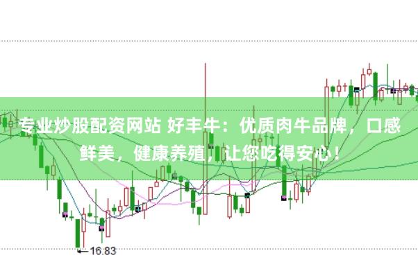专业炒股配资网站 好丰牛：优质肉牛品牌，口感鲜美，健康养殖，让您吃得安心！