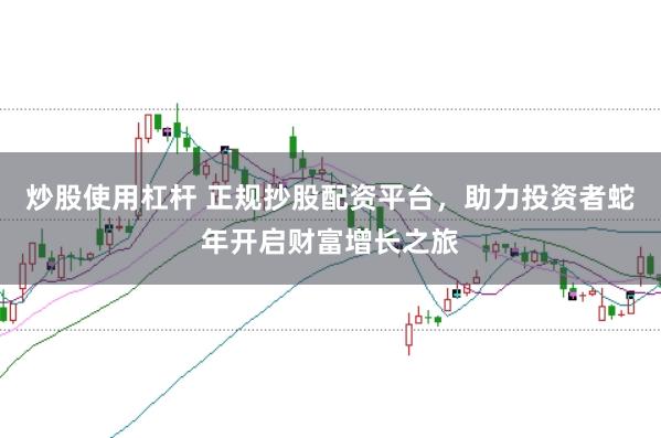 炒股使用杠杆 正规抄股配资平台，助力投资者蛇年开启财富增长之旅