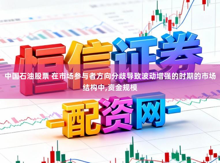 中国石油股票 在市场参与者方向分歧导致波动增强的时期的市场结构中,资金规模